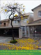 IMG-20250909-WA0044